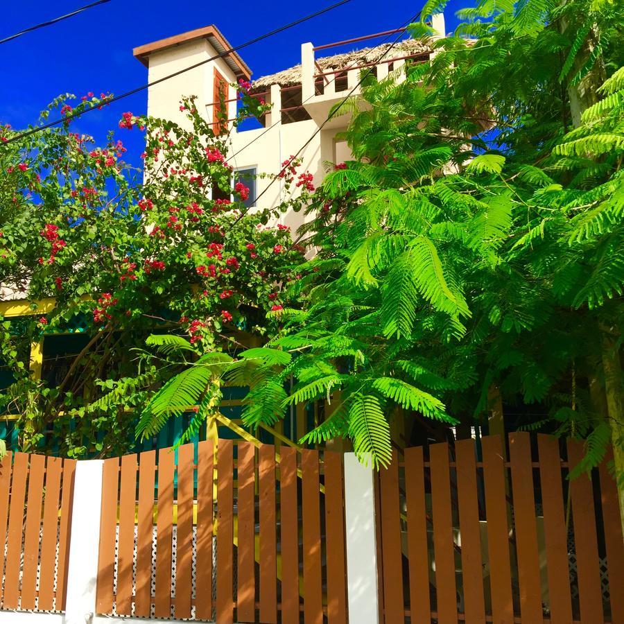 Yocamatsu Bed & Breakfast Caye Caulker Luaran gambar